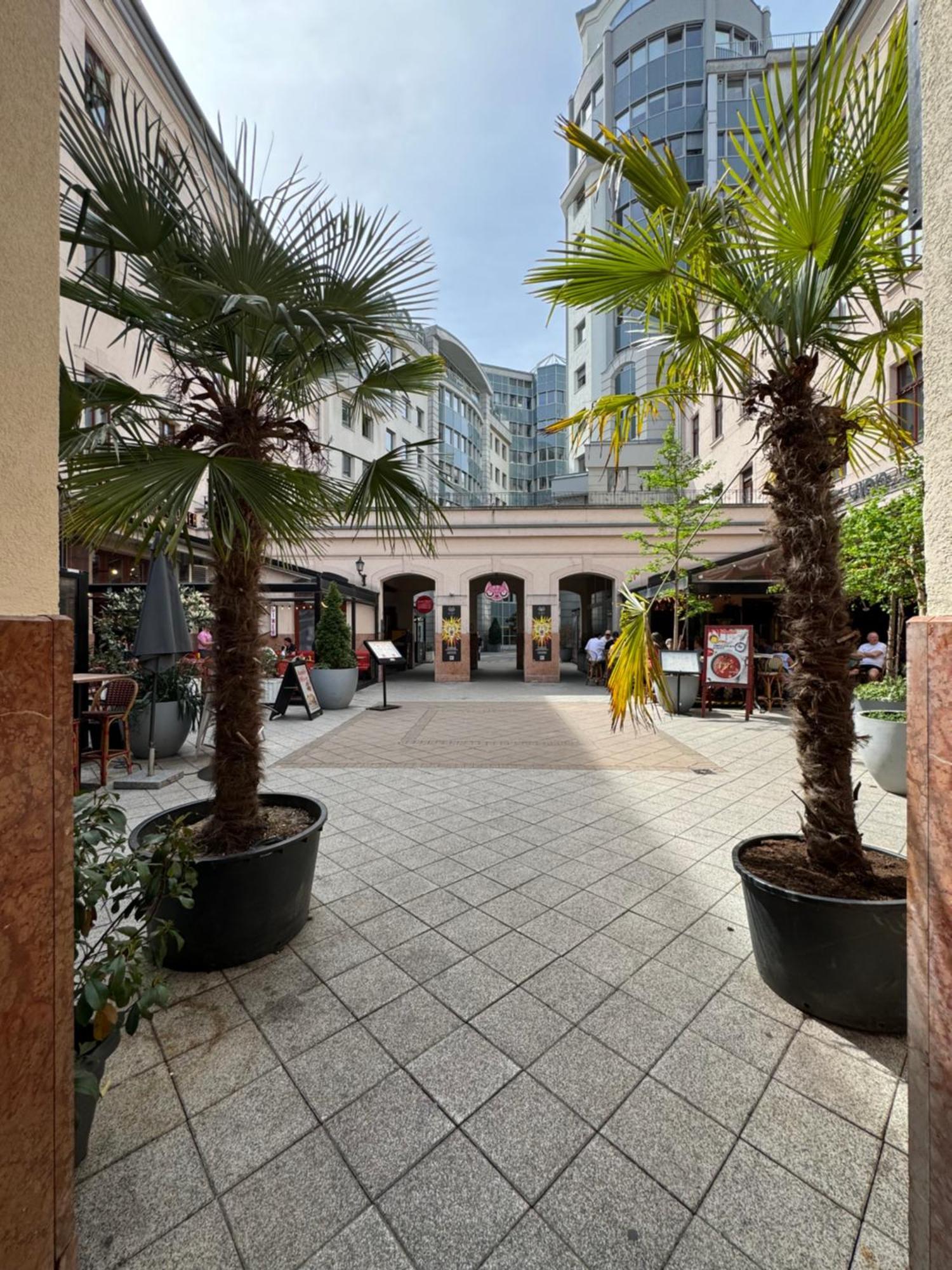 Novo Central Apartments Budapešť Pokoj fotografie